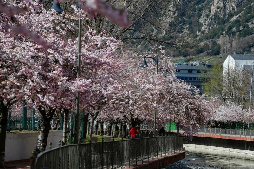Andorra mira al futuro: las claves del Forbes Economic Andorra Summit 2025